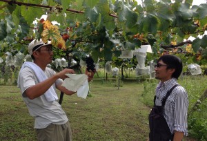 ご主人の村田さん（左）がブドウをとってくれるところ。
